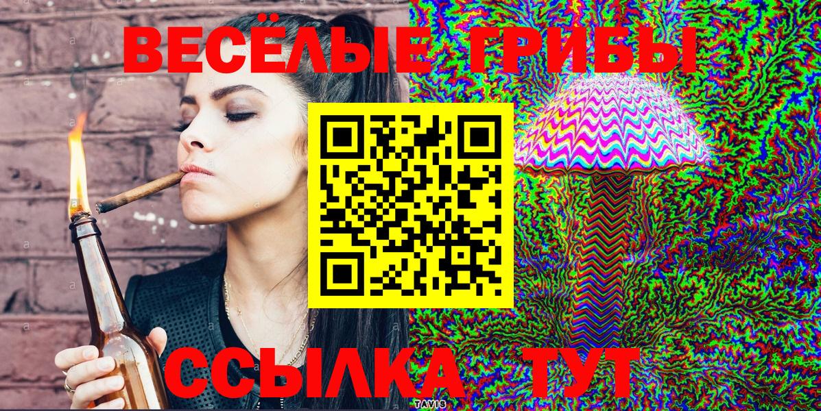наркотики  Вход с VPN  Лесной  Псилоцибиновые грибы Psilocybe  Псилоцибиновые грибы Psilocybe 