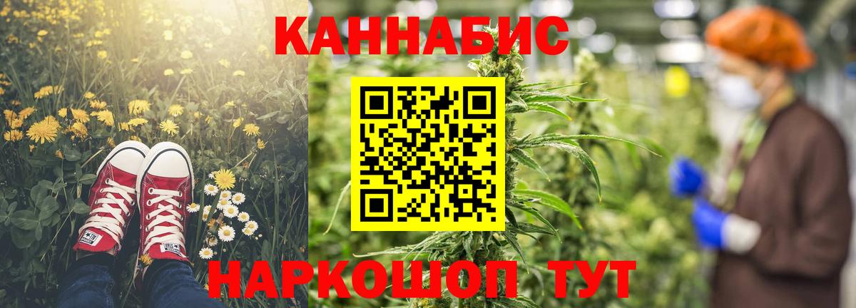 Шишки марихуана марихуана  Конопля тримм  Лесной  Вход с VPN 